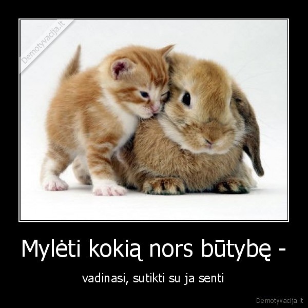 miela,gyvenimas,meile,butybe