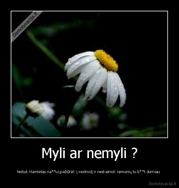 Myli ar nemyli ?