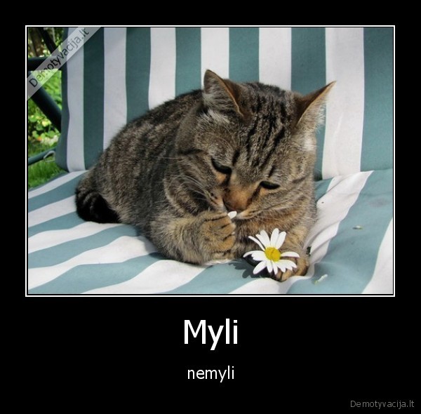 Myli