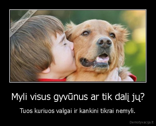 sunys, mesa, mirtis, kankinimas