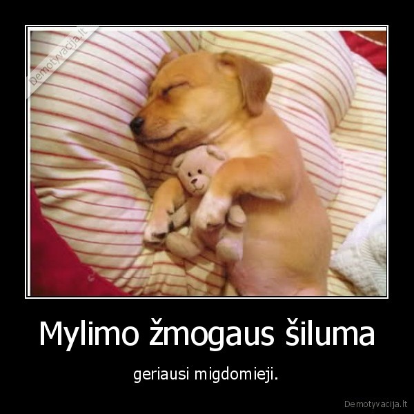 meile,gyvunai,siluma,migdomieji,geriausi,gyvunai