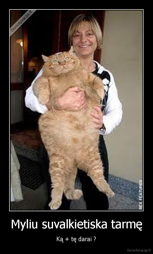 Myliu suvalkietiska tarmę