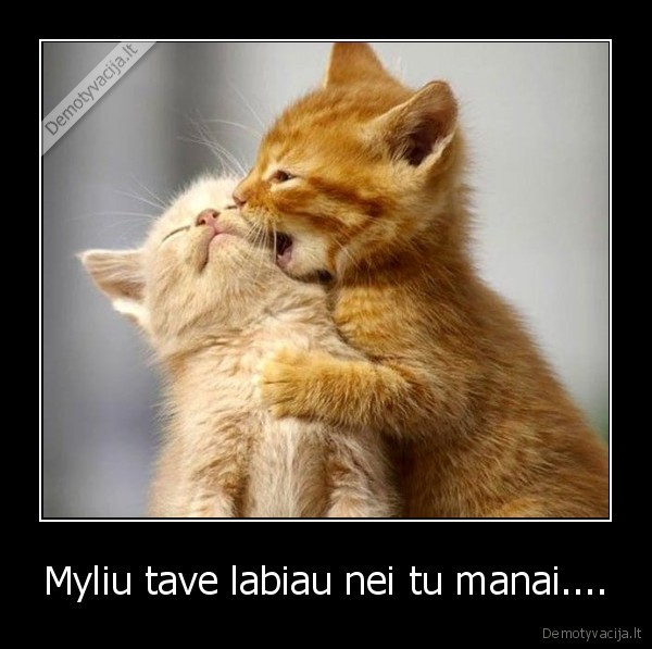 Myliu tave labiau nei tu manai....