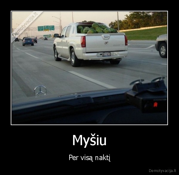 daug, arbuzu,pikapas, pilnas, arbuzu