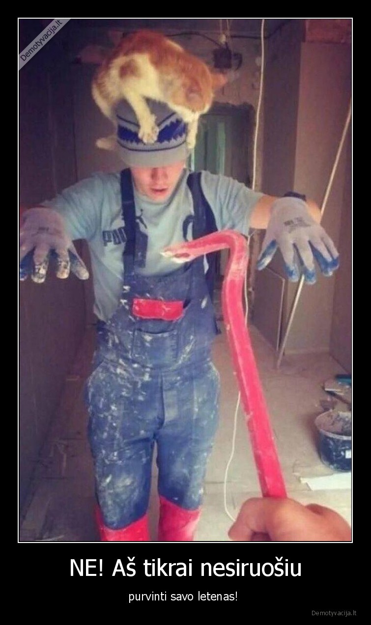 purvinti,katinas,nesiruosia,letenos
