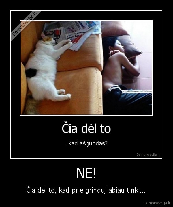 juodukas,grindys,tikti,katinas,guleti,lova,miegas