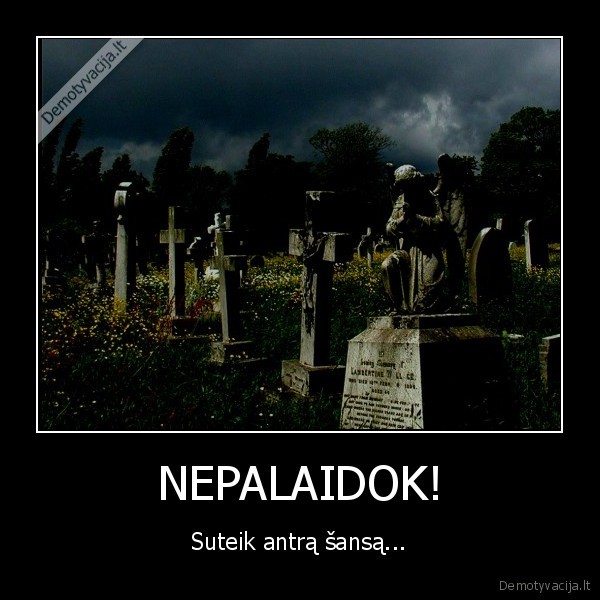 ieva,dovile,viktorija