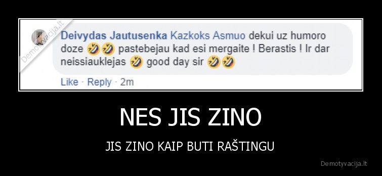 NES JIS ZINO