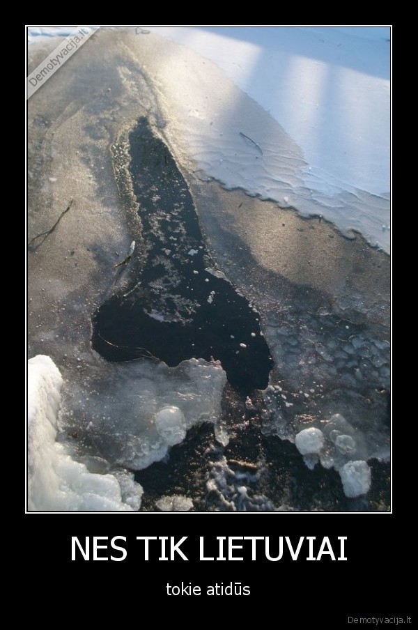 zilinskas, ne, gejus