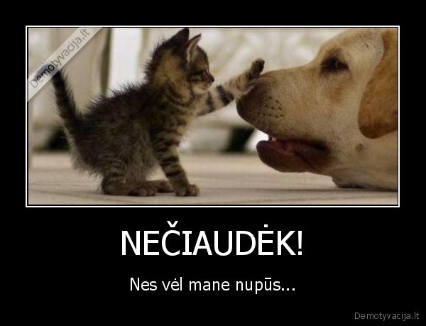 NEČIAUDĖK!