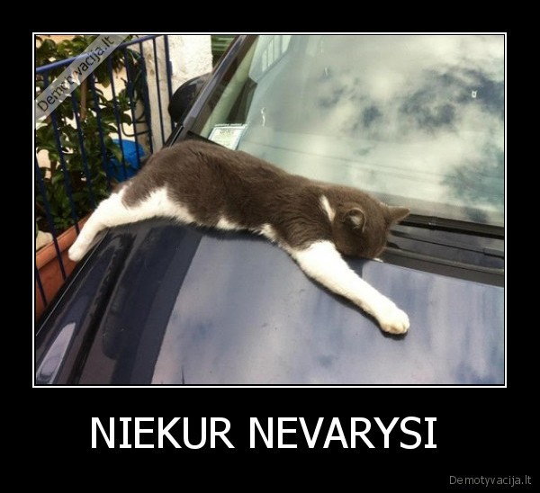 NIEKUR NEVARYSI 