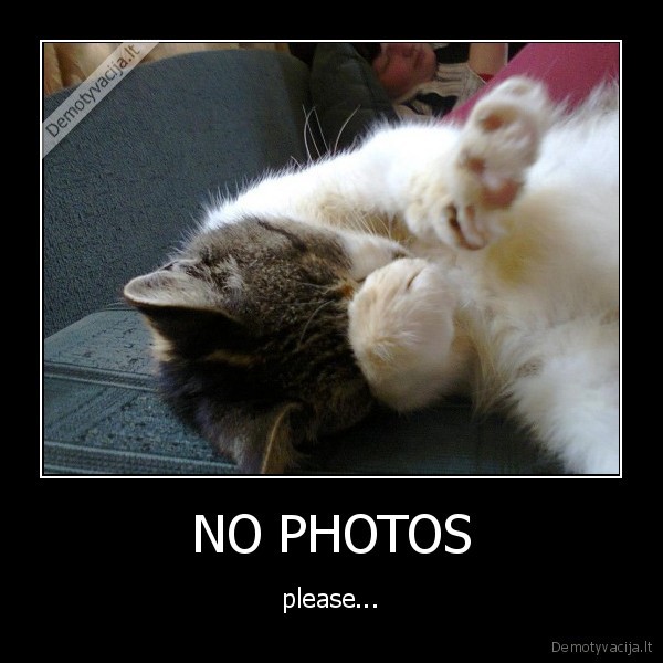NO PHOTOS