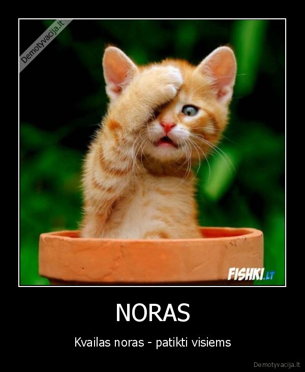 NORAS