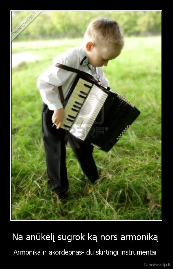 akordeonas,armonika