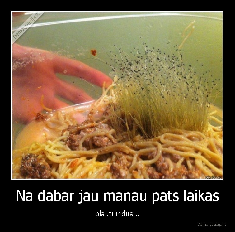 indai,nesiplauna,patys