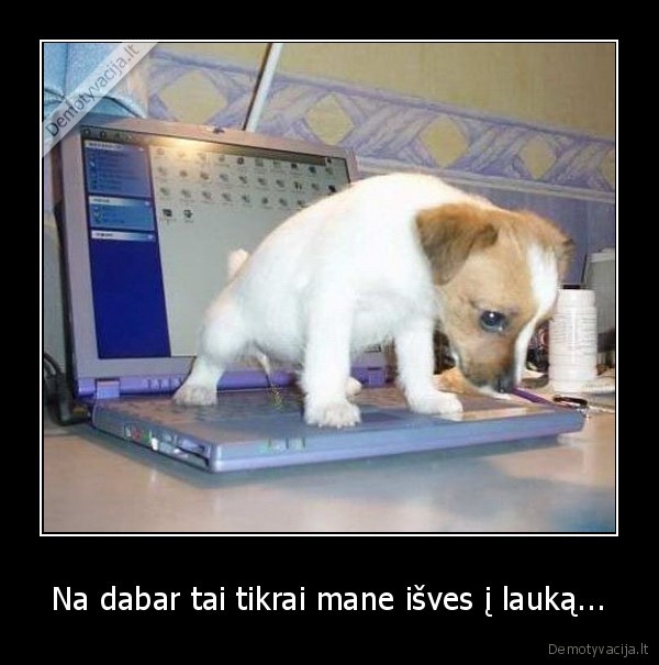 Na dabar tai tikrai mane išves į lauką...