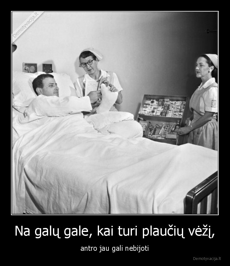 vezys,juodas,humoras,plauciu, vezys