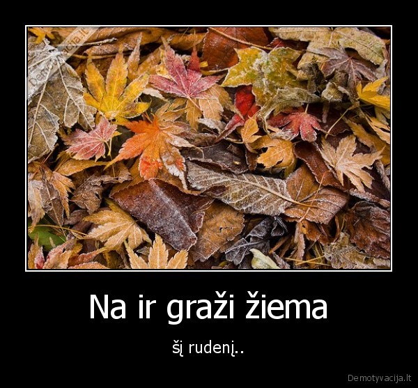 Na ir graži žiema