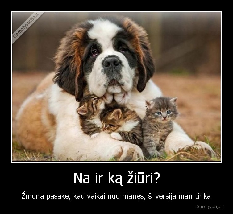 vaikai,katinukai,suo