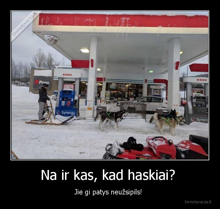 haskiai,degaline,degalai