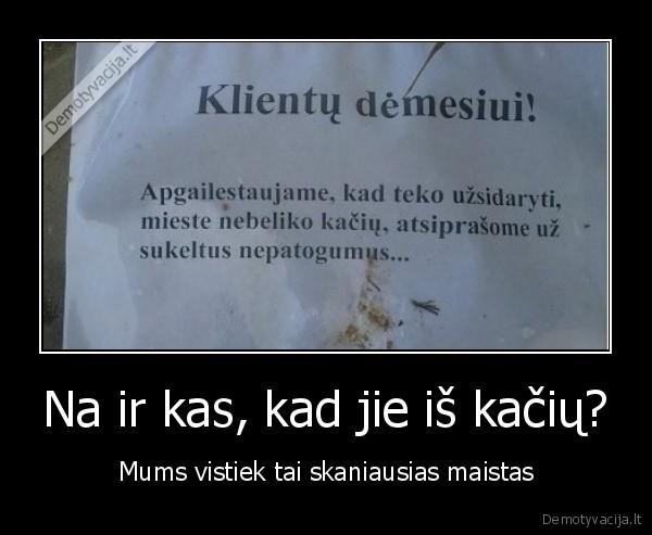 kebabai,katiena,kates,maistas,kebabas, is, katienos,katiena, is, kebabo