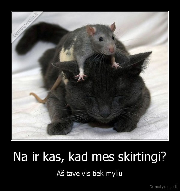 Na ir kas, kad mes skirtingi?