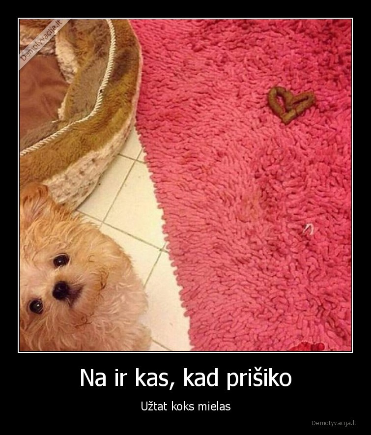 prisiko,mielas,suo,sunys