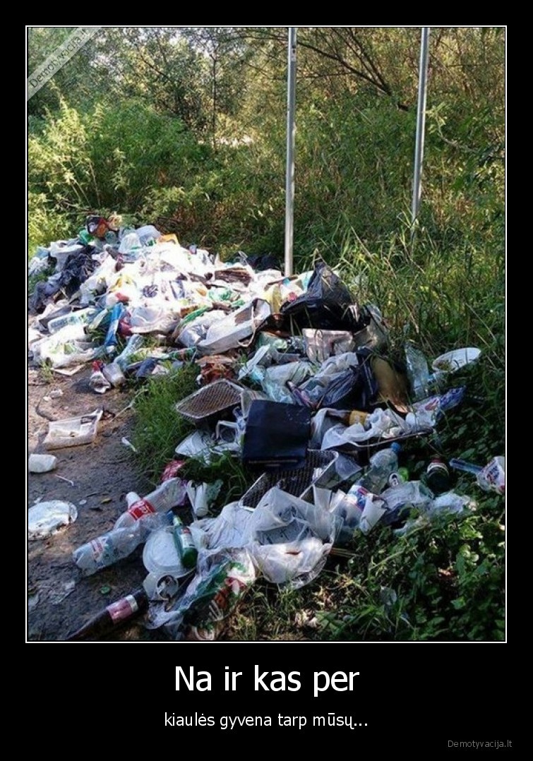 kiaules,siuksles,negrazu