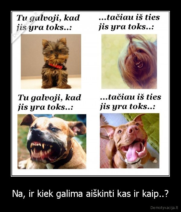 mazi, sunys, pikti, sunys,dideli, sunys, geri, sunys