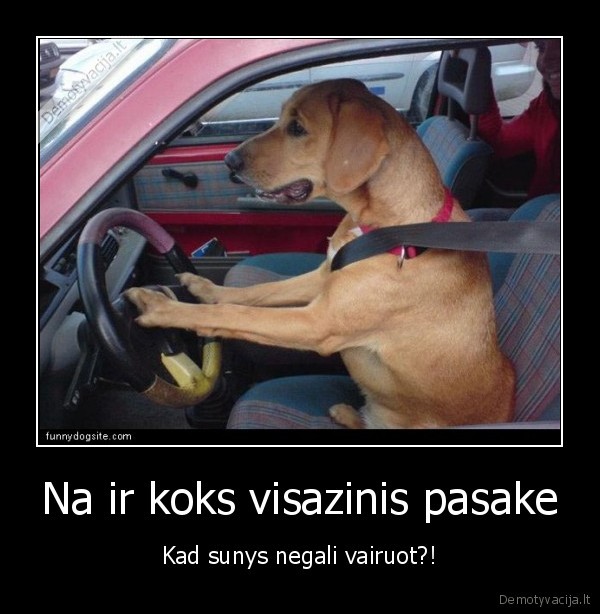 Na ir koks visazinis pasake