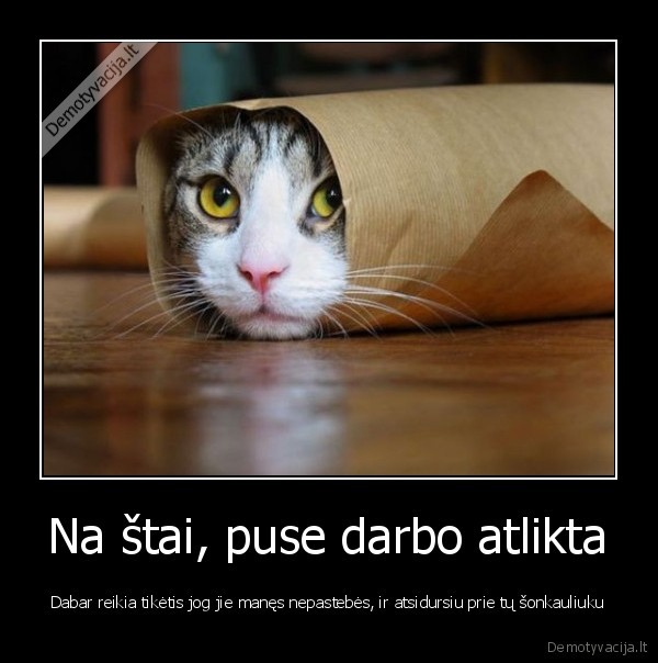 katinas,sonkauliukai