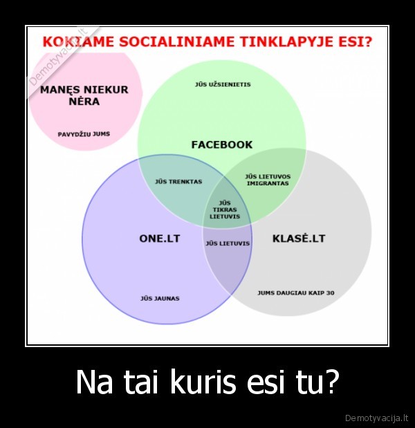 socialine, erdve,mes, uzsienieciai