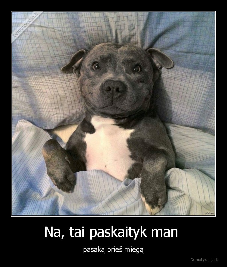 sunys,suo,augintiniai,gyvunai,lovoje,pasaka,miegas,pasaka, pries, miega