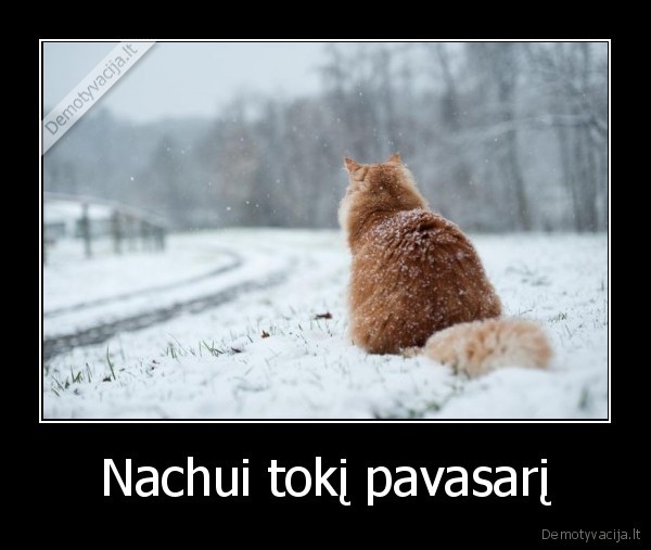 Nachui tokį pavasarį