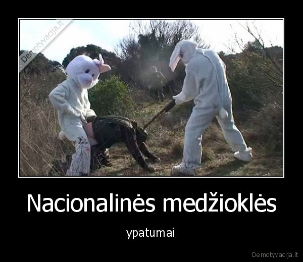 Nacionalinės medžioklės