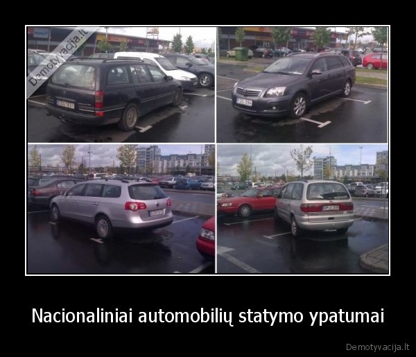 Nacionaliniai automobilių statymo ypatumai