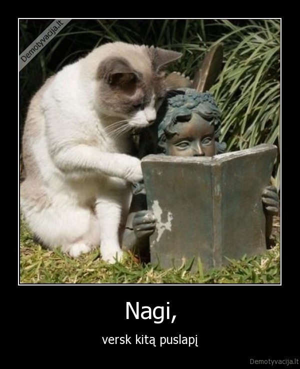 katinas,kate,skulptura