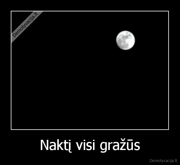 Naktį visi gražūs