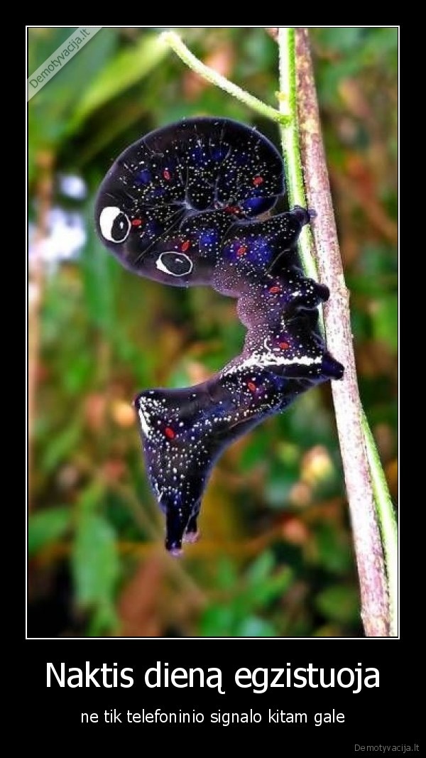 Naktis dieną egzistuoja