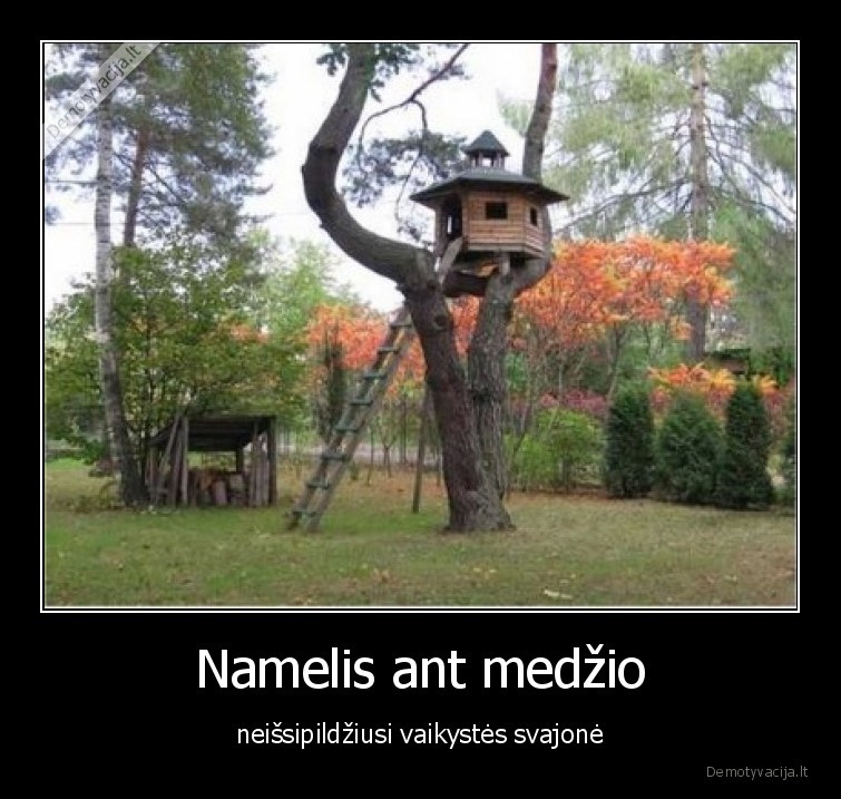 namas,medyje,svajone,neissipilde