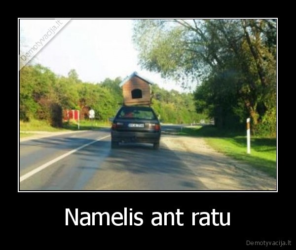 Namelis ant ratu