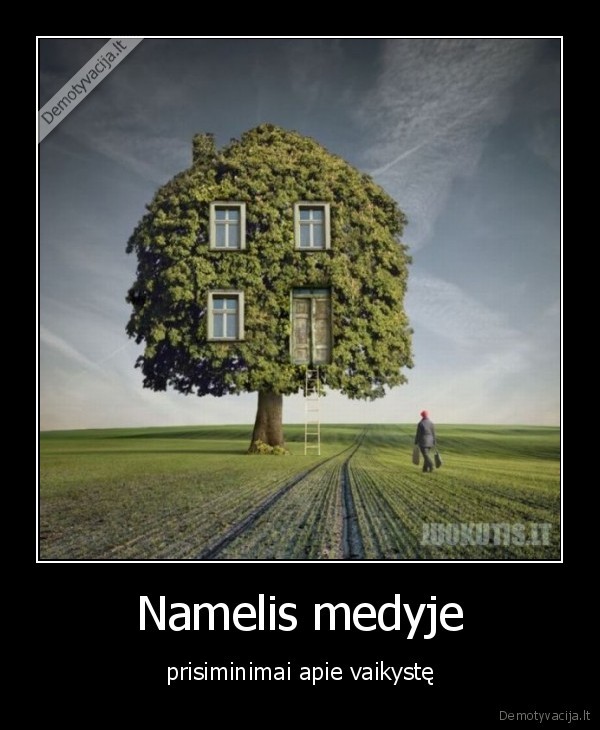 Namelis medyje
