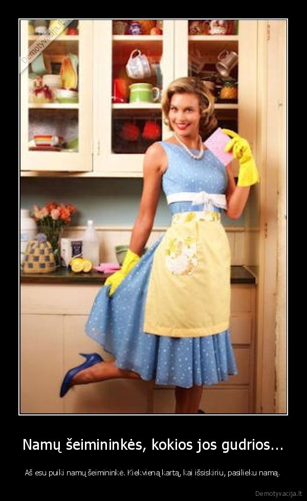 Namų šeimininkės, kokios jos gudrios...