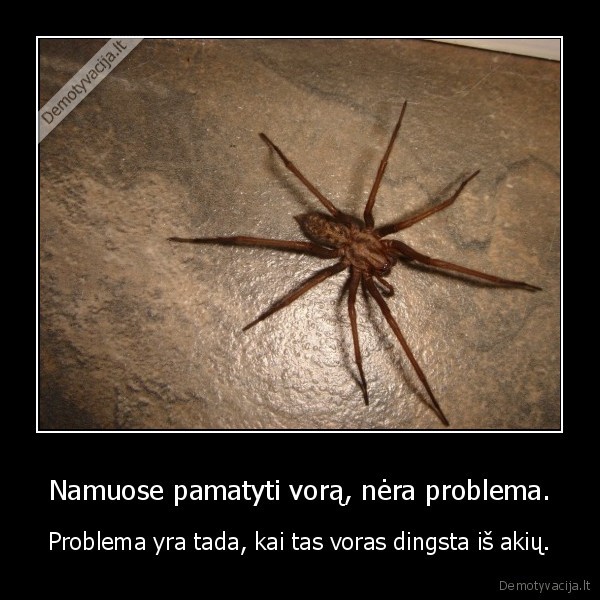 Namuose pamatyti vorą, nėra problema.