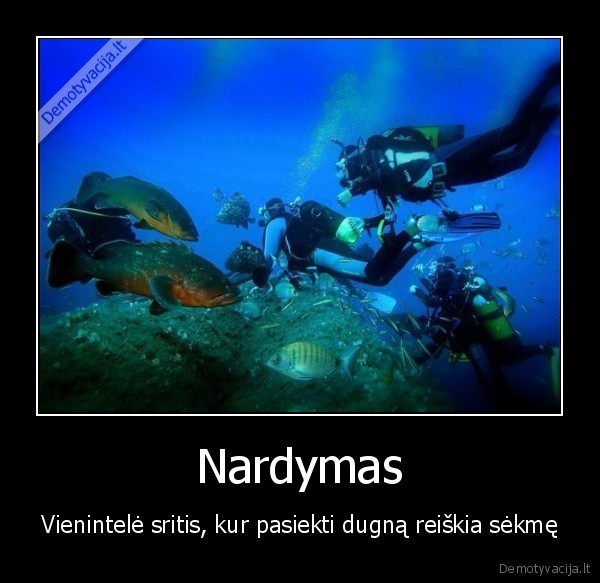 Nardymas