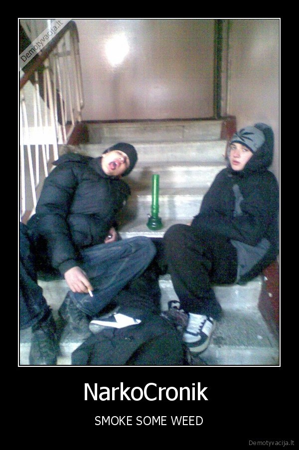 NarkoCronik 