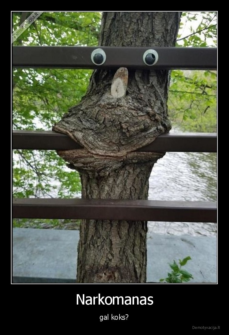 narkomanas,medis,kas,cia,vyksta