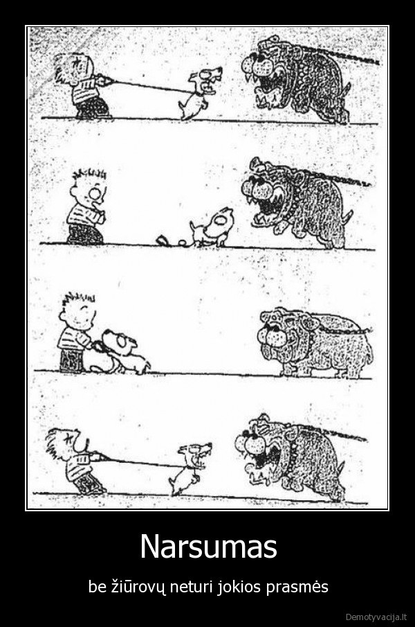 narsumas,drasa,prasme