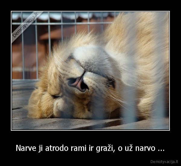 Narve ji atrodo rami ir graži, o už narvo ...