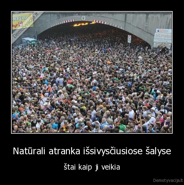 naturali, atranka, issivysciusiose, salyse, stai, kaip, ji, veikia, lol, love, parade